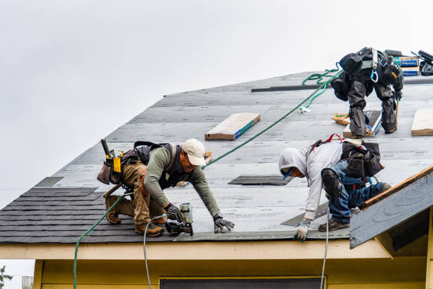 Professional Roofing technician working in Page, ND